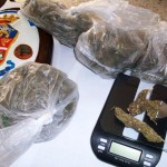 ANDRIA CARABINIERI_Particolare_della_Marijuana