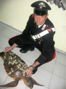 CARABINIERI_Tartaruga3