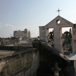 comune bisceglie terrazzo_4395