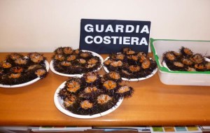 ricci guardai costiera