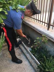 carabinieri andria pollice verde