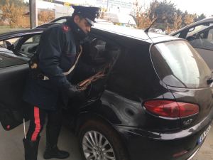 carabinieri gioia-WA0039